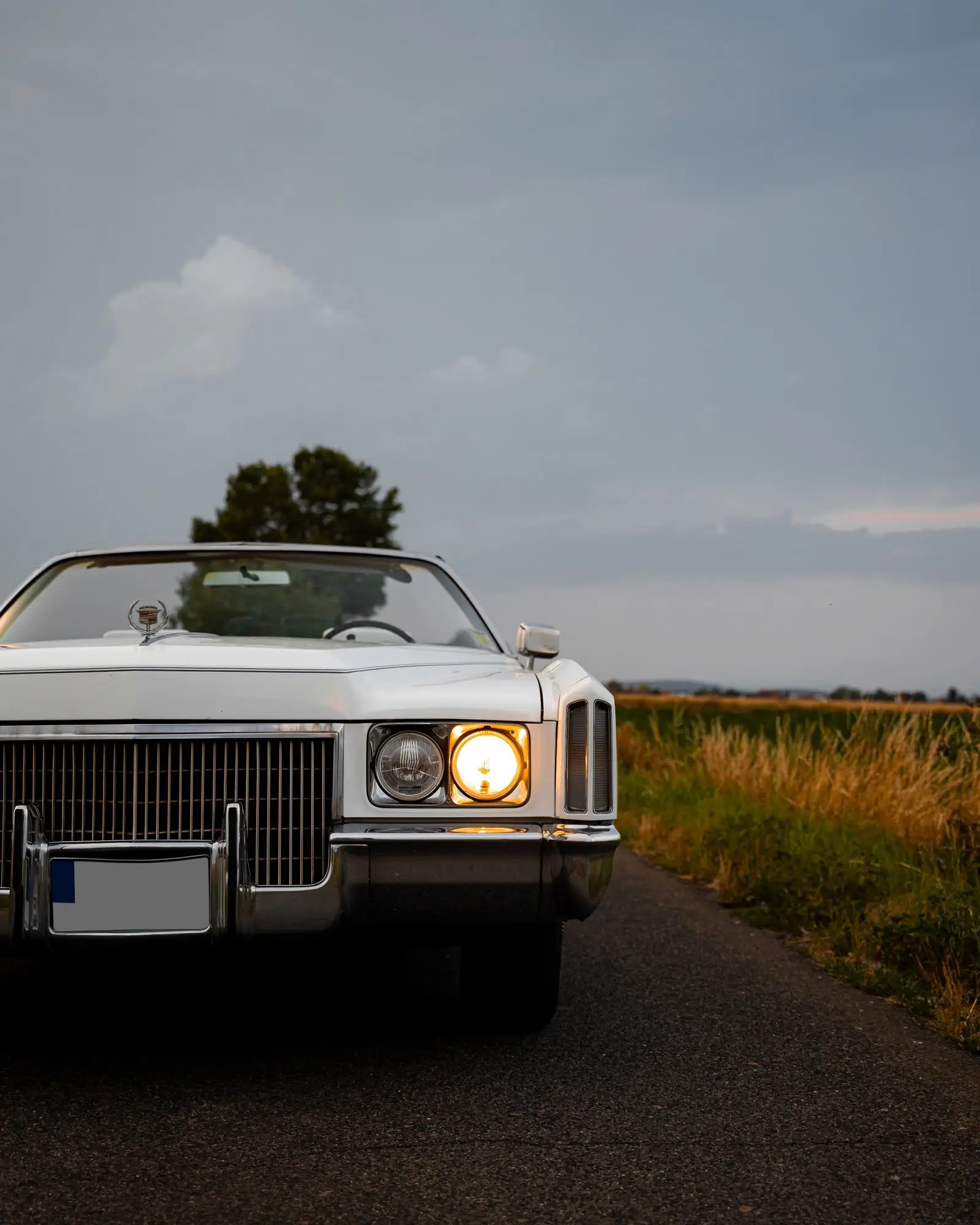 Bok Cadillacu Eldorado se stromem v pozadí