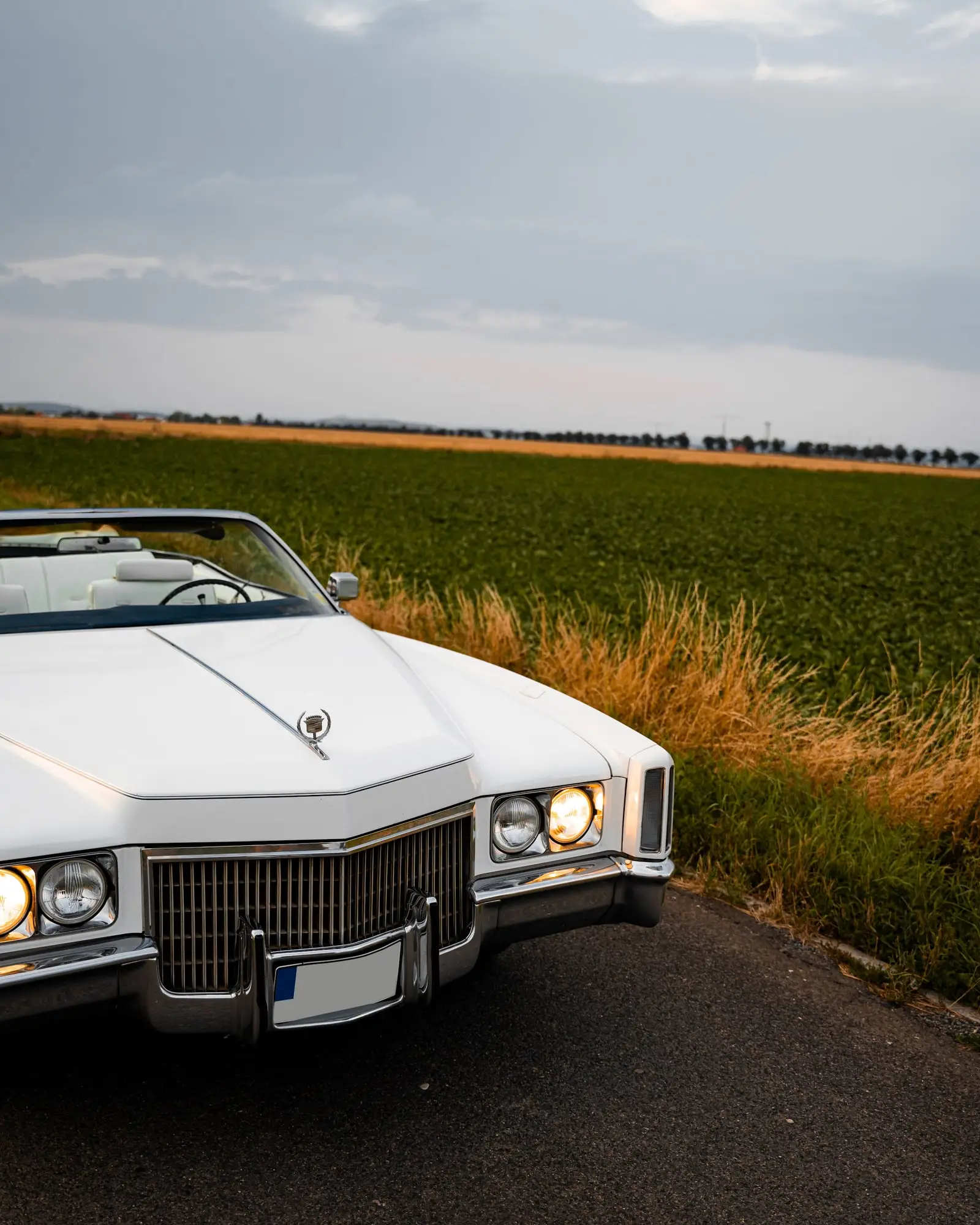 Cadillac Eldorado zepředu u zeleného pole
