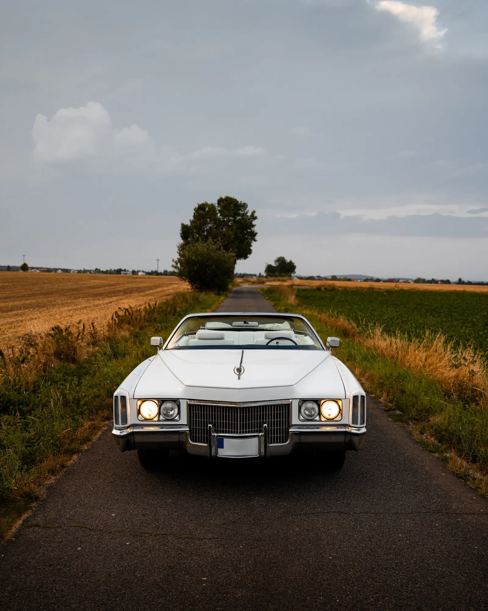 Cadillac Eldorado na polní cestě u stromu