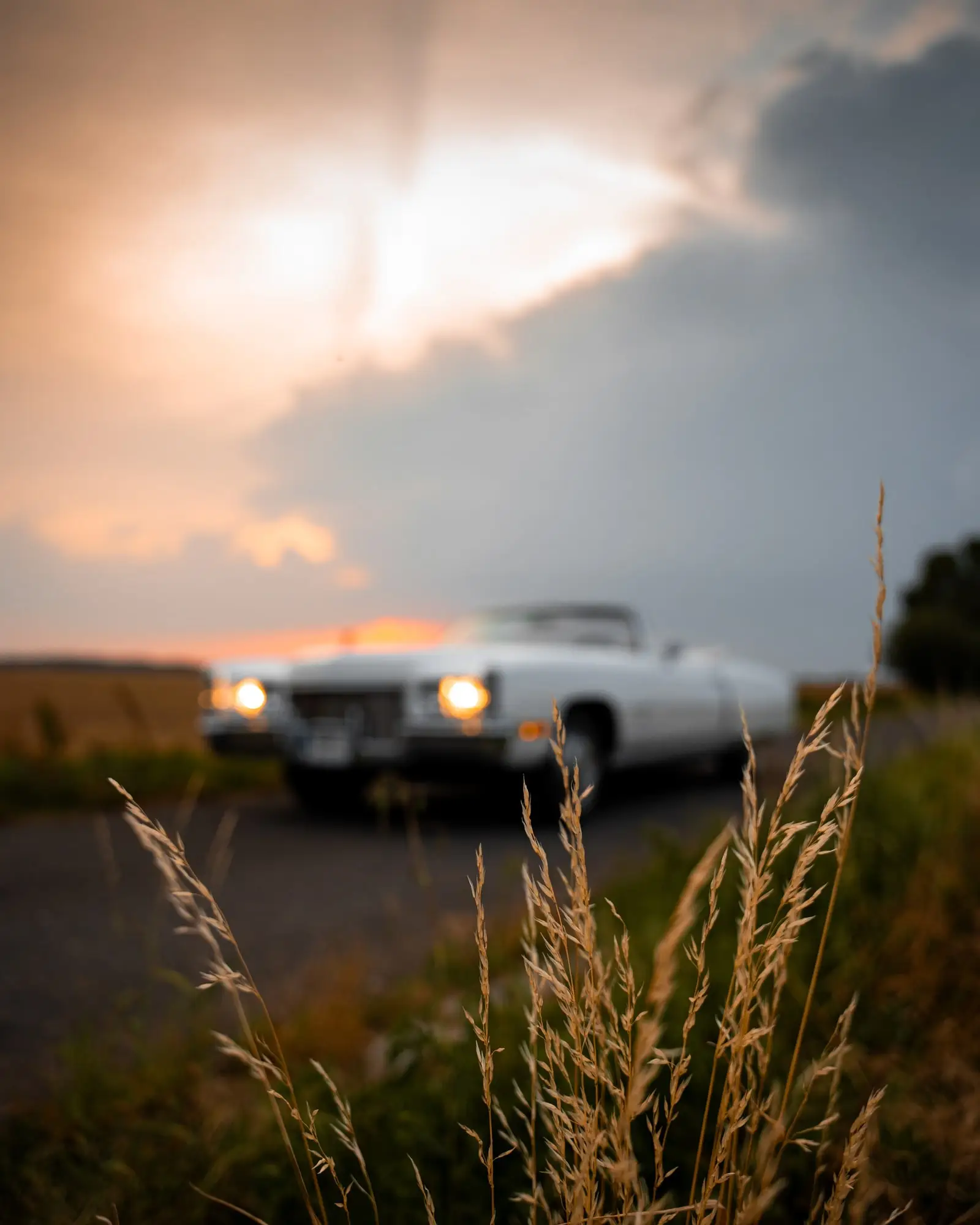 Cadillac Eldorado v poli za soumraku