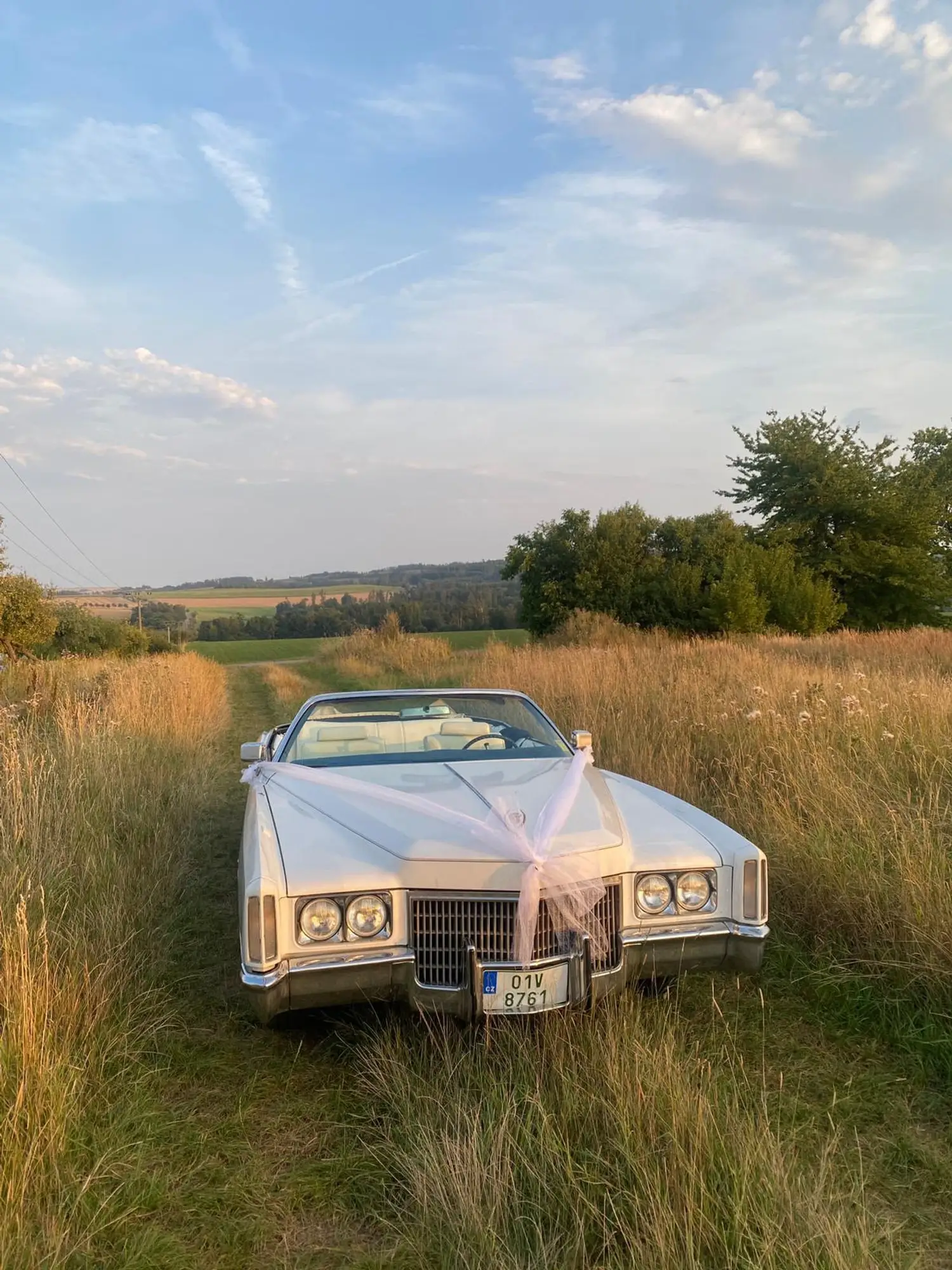Bílý Cadillac Eldorado se svatební výzdobou z bílého tylu stojí v louce