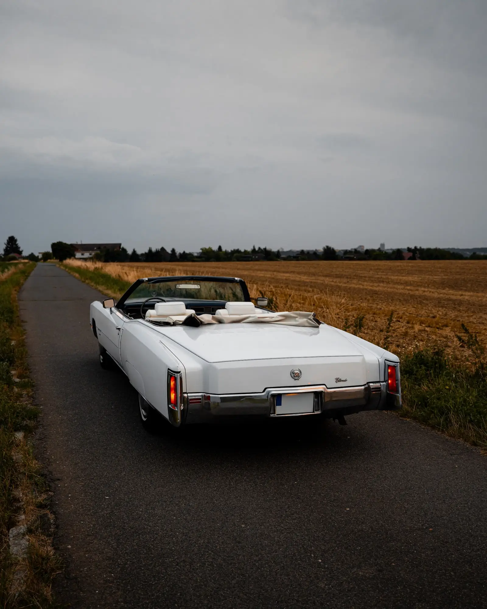 Zadní tři čtvrtě pohled na bílý Cadillac Eldorado u pole