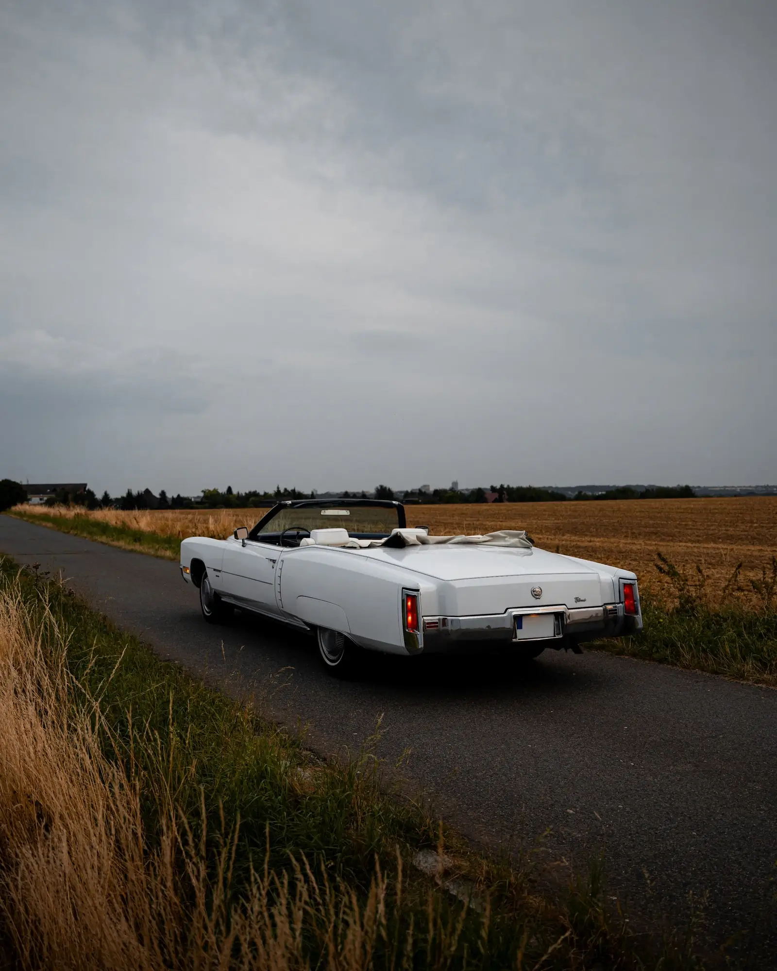 Cadillac Eldorado zezadu v trávě
