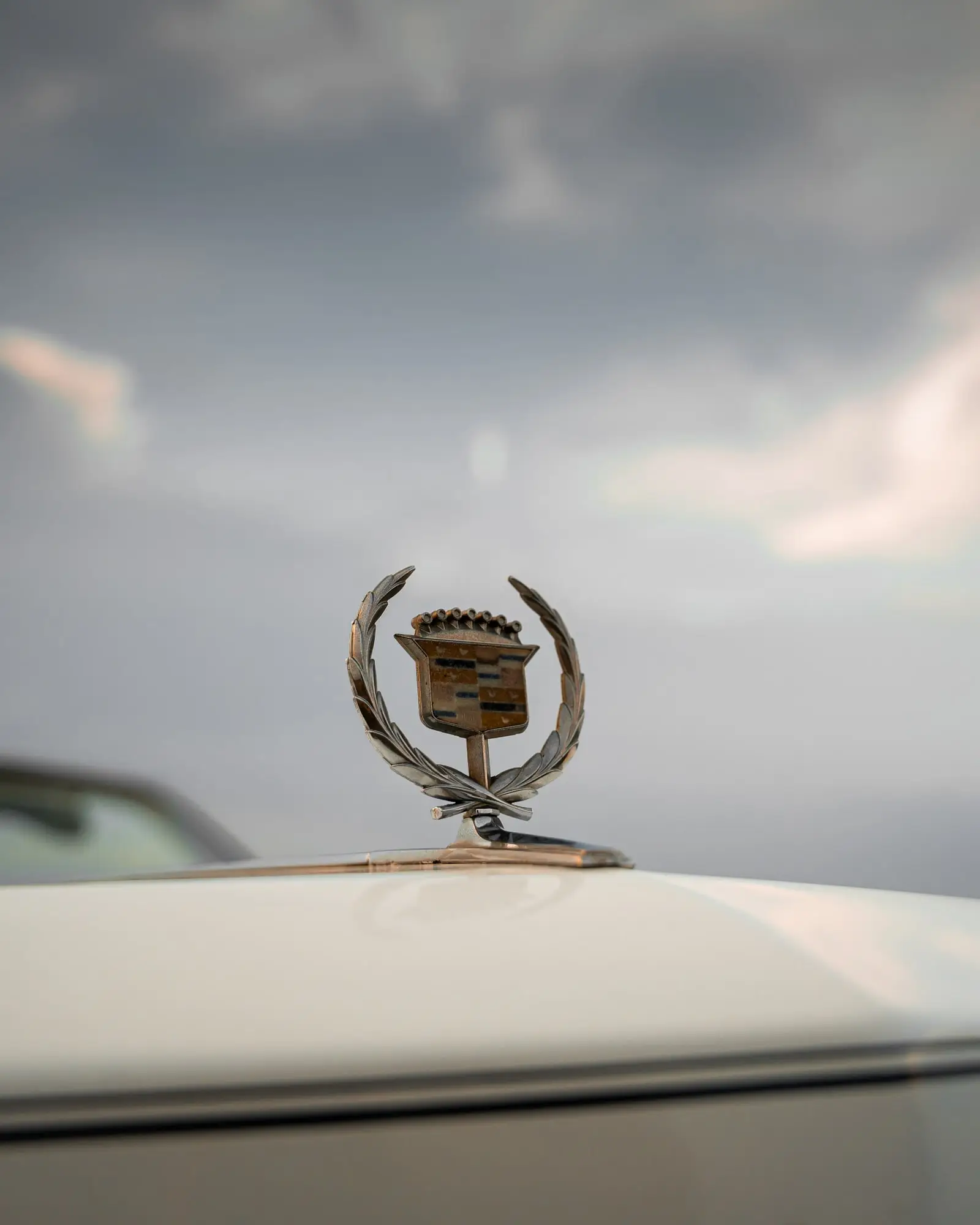 Chromovaný znak Cadillac na kapotě bílého vozu